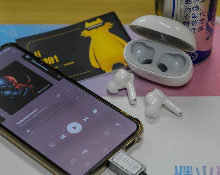 Беспроводные наушники Realme T100: звучат приятно, стоят недорого / Аудио и звук / iXBT Live