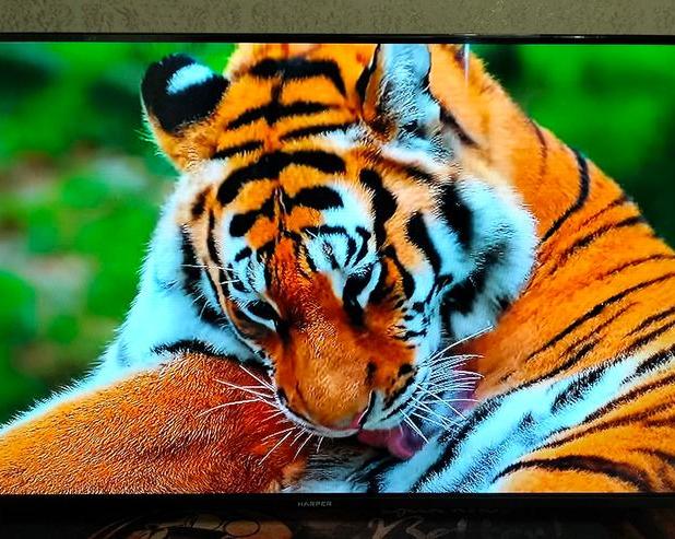 Обзор безрамочного телевизора Harper 43F720T / ТВ, мультимедиа и консоли / iXBT Live